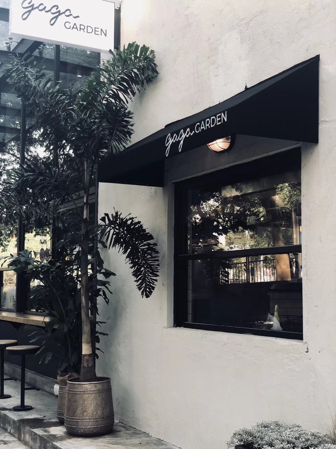 意外走红的"gaga Garden" | 旧桌布局新风貌-7