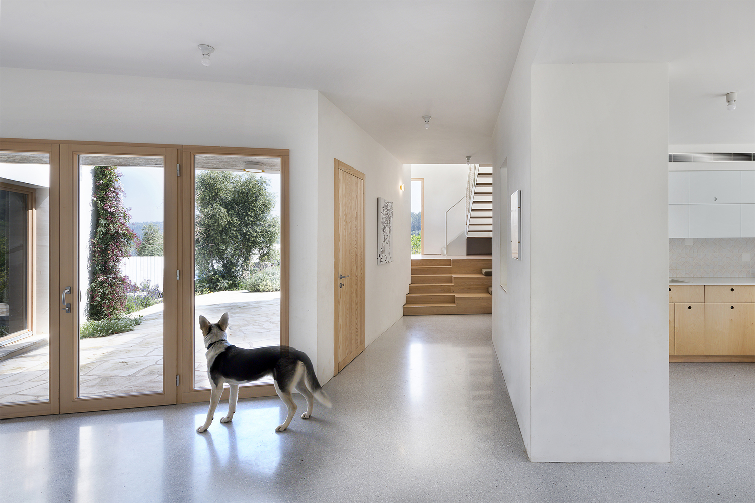 融合自然与社区的 SHN 住宅-13