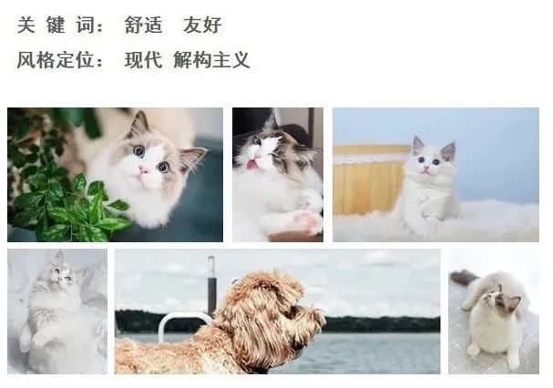 陪伴者 · 现代简约风格猫狗家居设计丨中国廊坊丨廊坊峰尚设计组-17