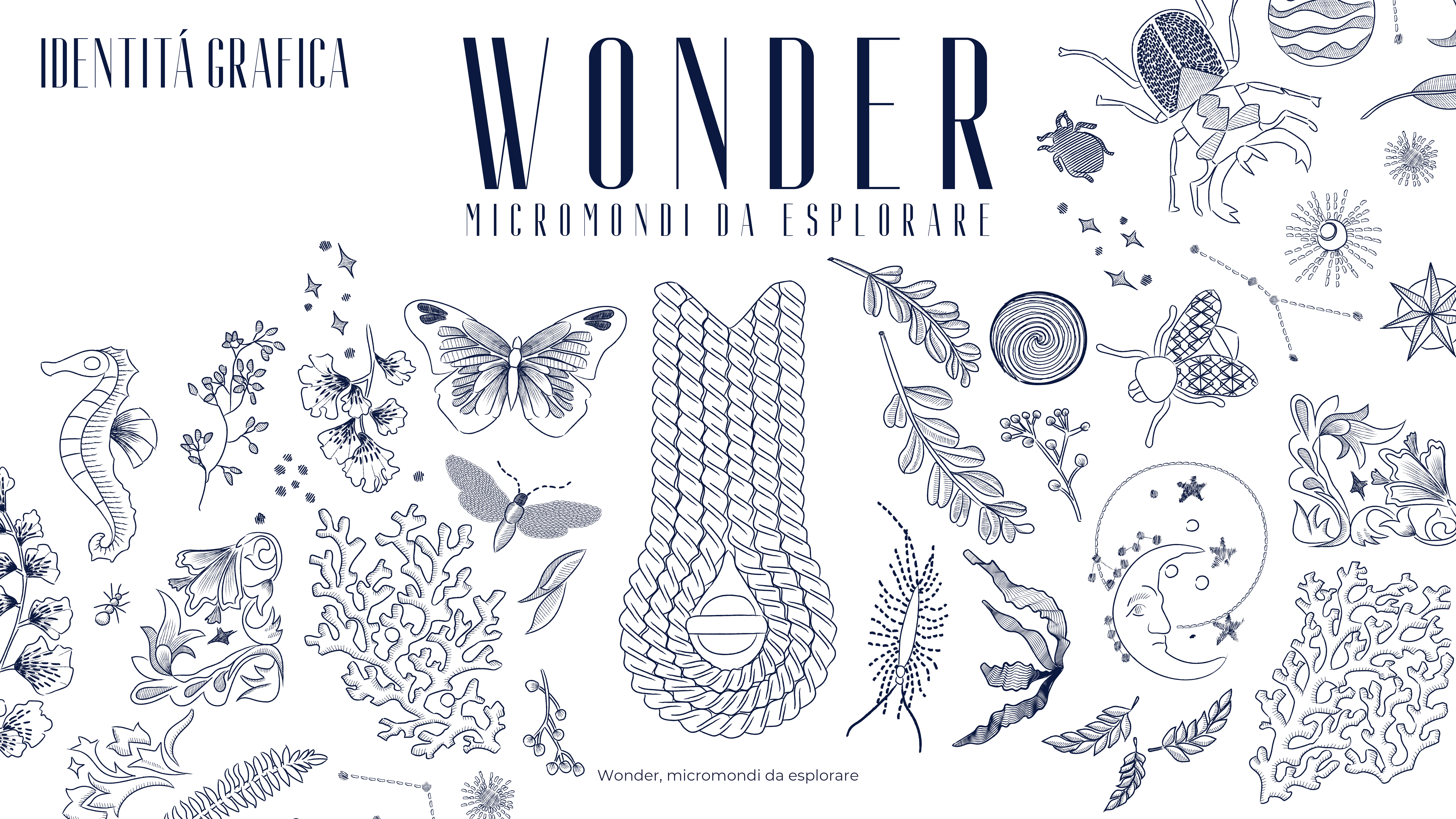 Wonder, Micromondi da esplorare-26