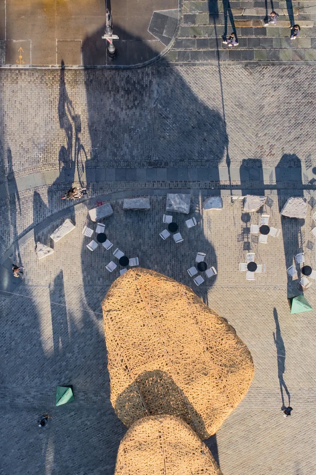 你以为竹子的极限和竹子真正的极限-131