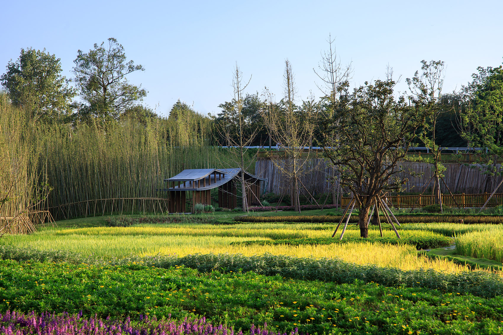 成都新希望种子乐园丨蓝海景观-97