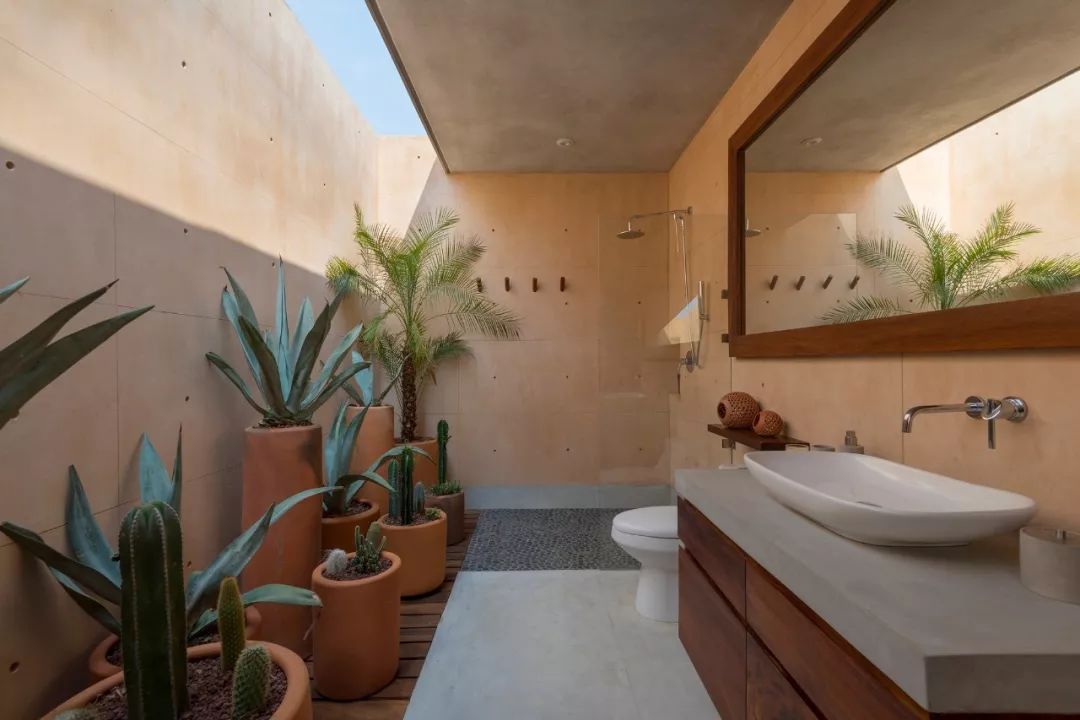 墨西哥里昂花园住宅 | 室内外和谐共生-10