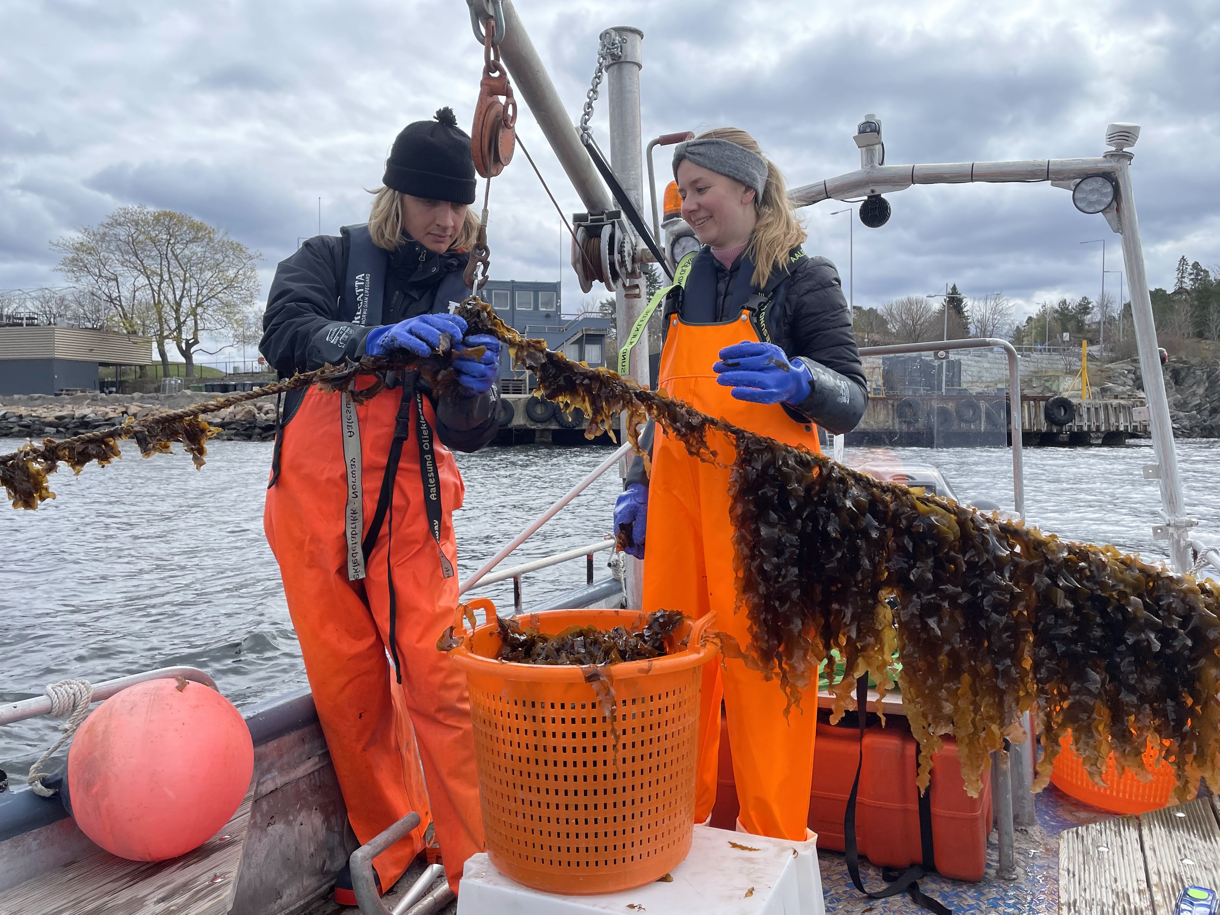 挪威首个海洋利用渔场-1