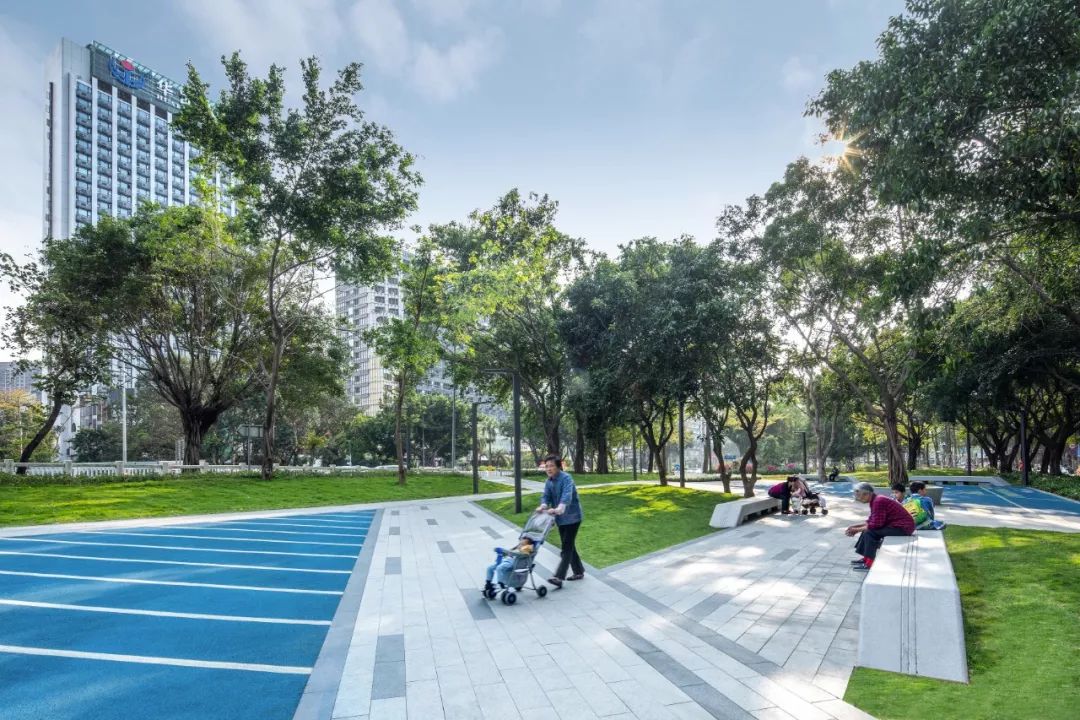 深圳罗湖“三横四纵”绿廊生活-26