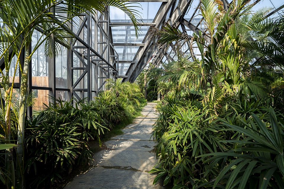 衡水植物园温室展览馆丨中国河北丨空格建筑-61