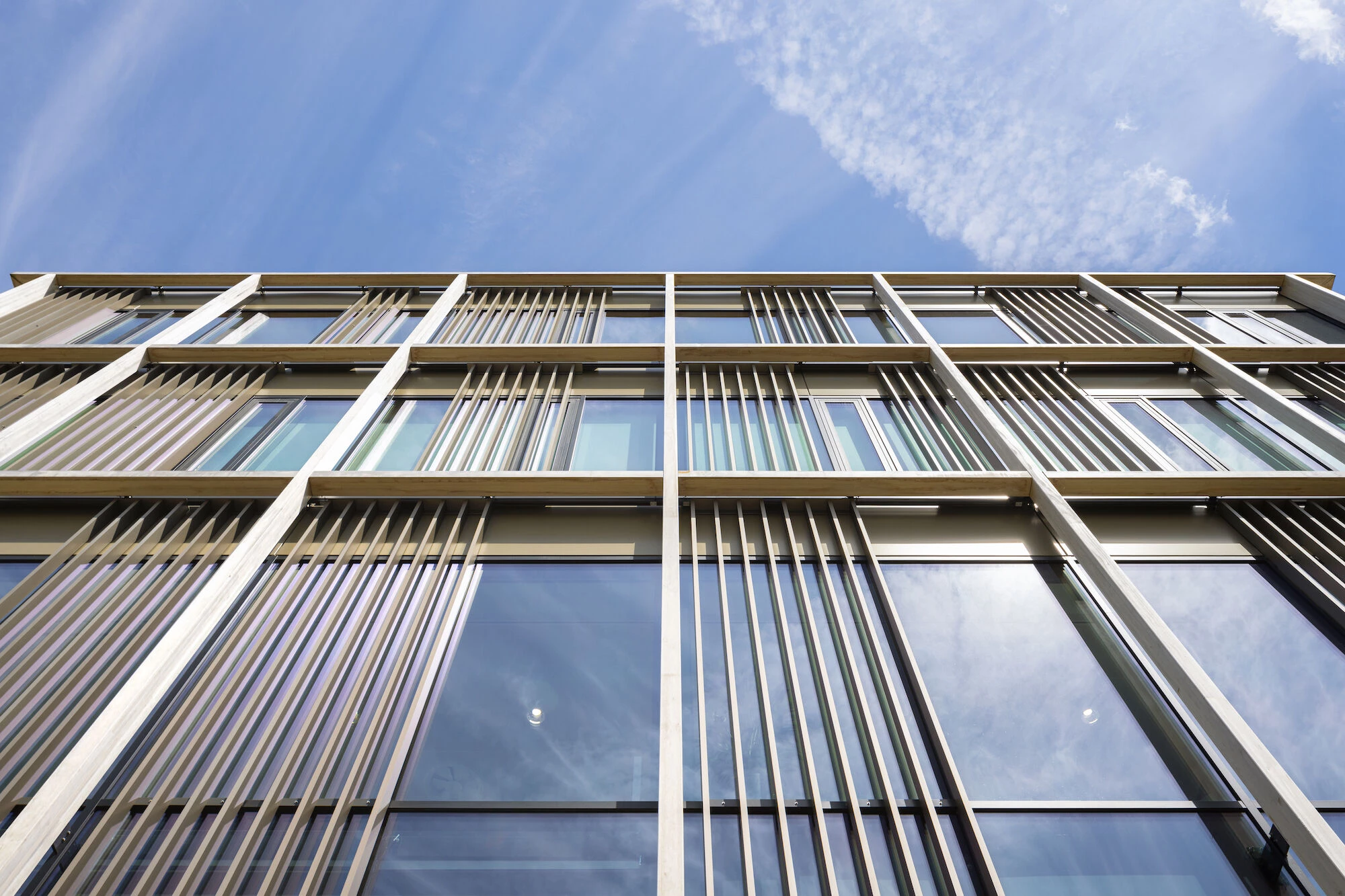 Upfield 食品科学中心丨荷兰丨Fokkema & Partners Architecten-38