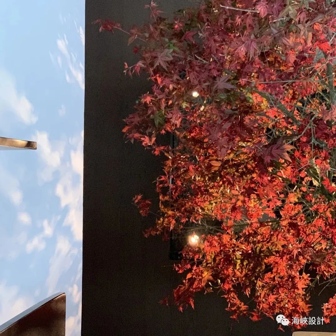 徐绮设计事务所办公室丨中国厦门丨徐绮建筑设计咨询(上海)有限公司-32