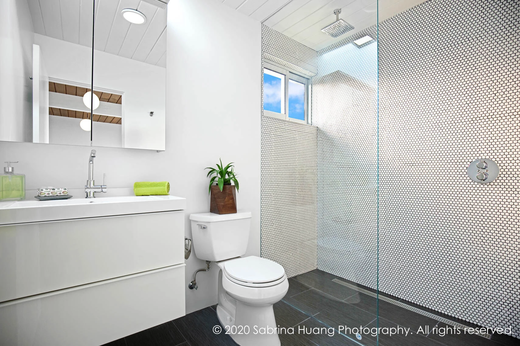 加州 Foster City Eichler 住宅现代升级-30