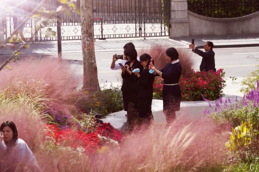 外滩秘境 | 城市花园的时空穿越-185