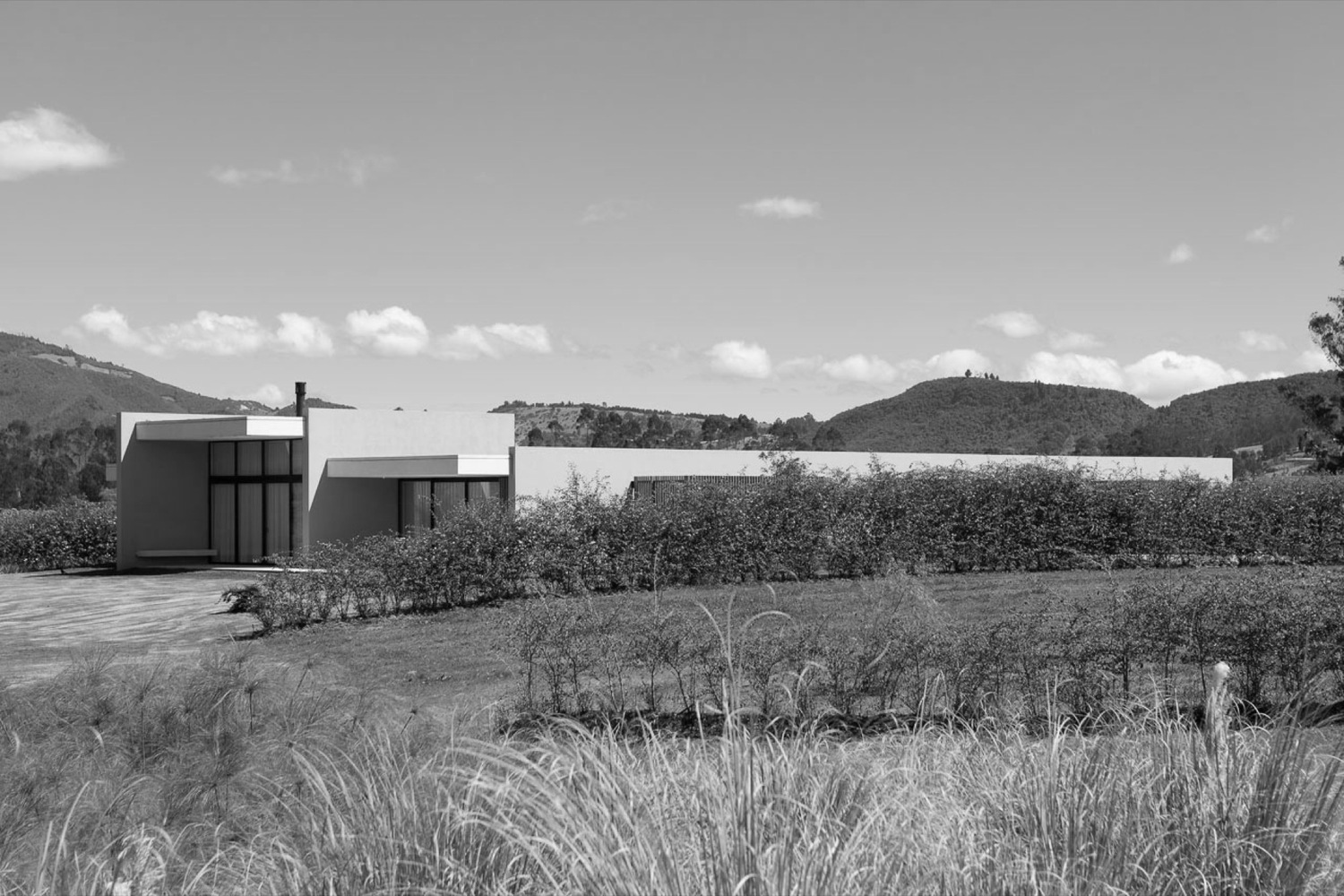 40 岁卡萨 · 与自然共生的单一层次住宅-47