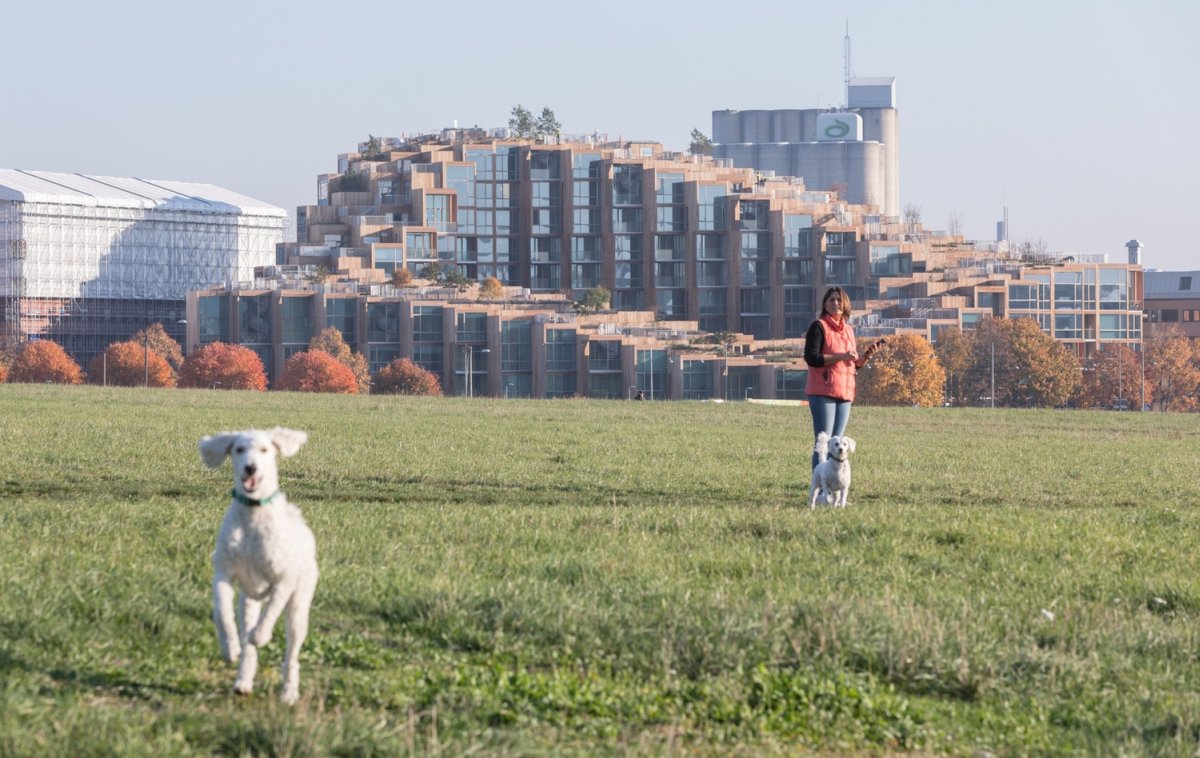 丨瑞典斯德哥尔摩丨丹麦建筑公司BIG-0