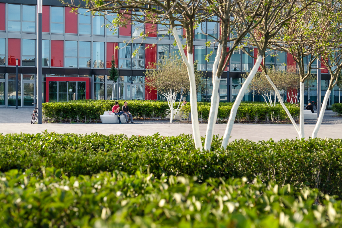 德国波恩大学校园-35