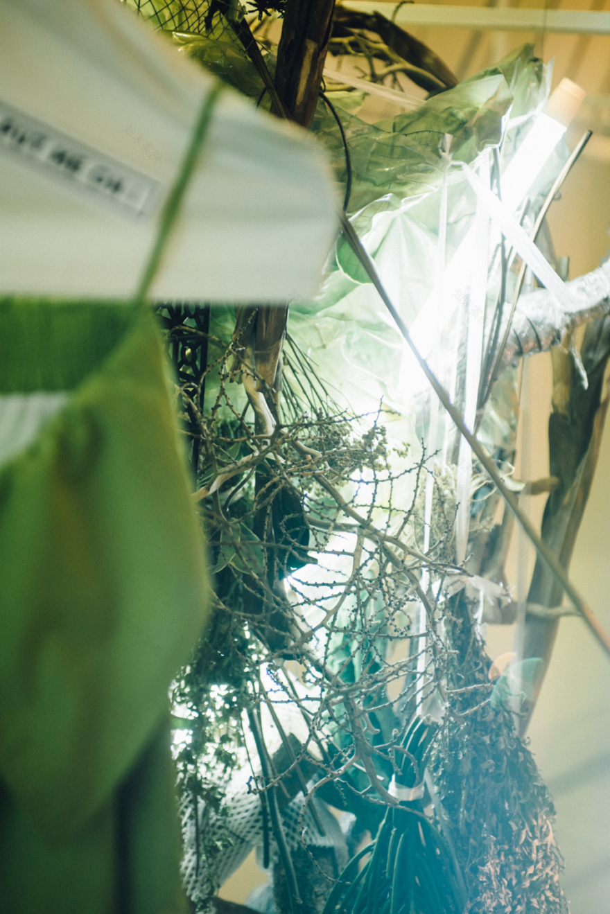 nonesuch Market - 質物霽畫 BOTANIPLAN VON LEE CHI -25