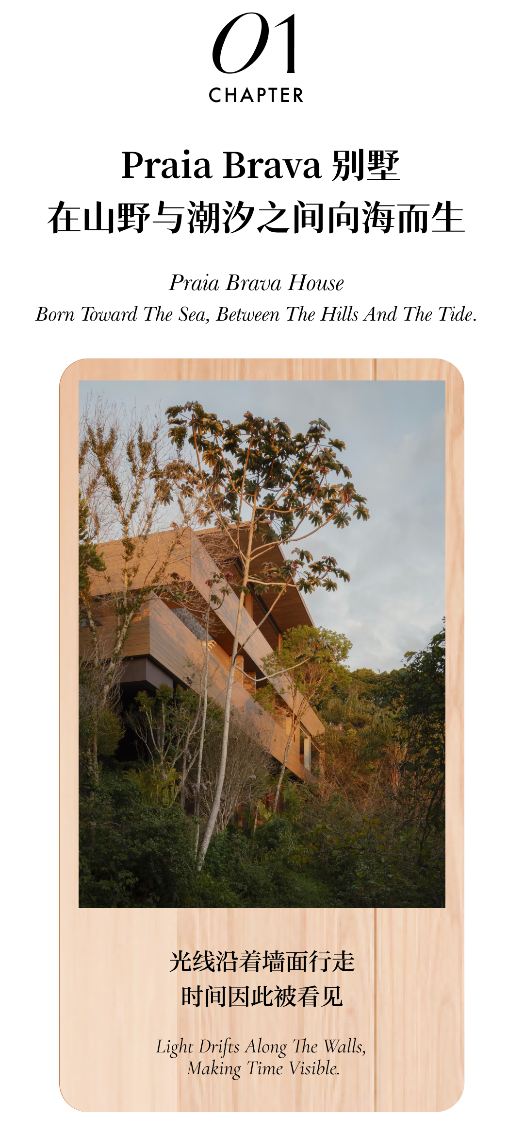 布拉瓦海滩别墅丨巴西丨Studio Arthur Casas-1