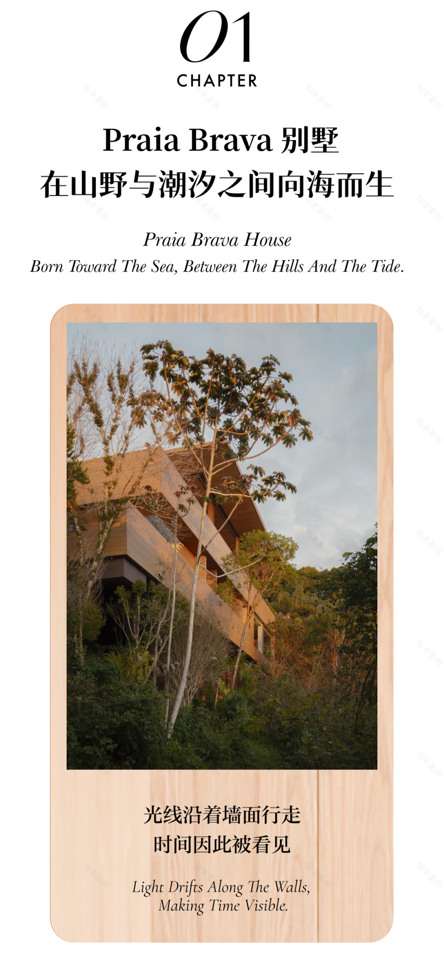 布拉瓦海滩别墅丨巴西丨Studio Arthur Casas-1