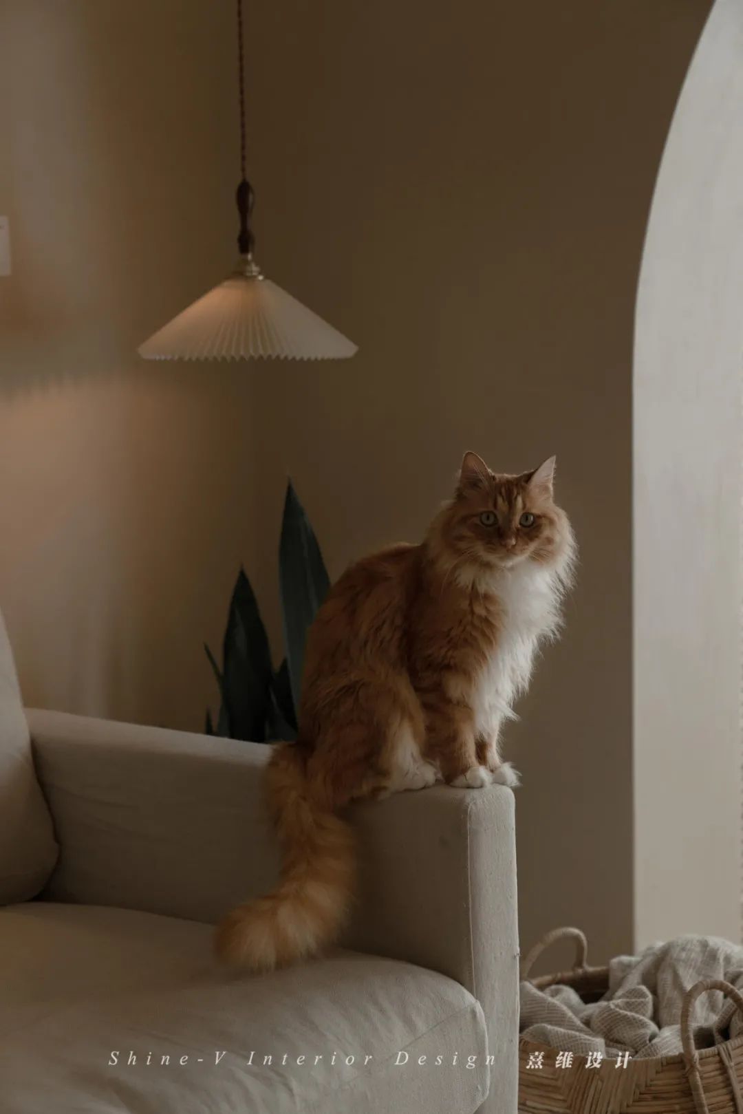 《织巢》 | 微水泥与贝壳砖的侘寂之美-27