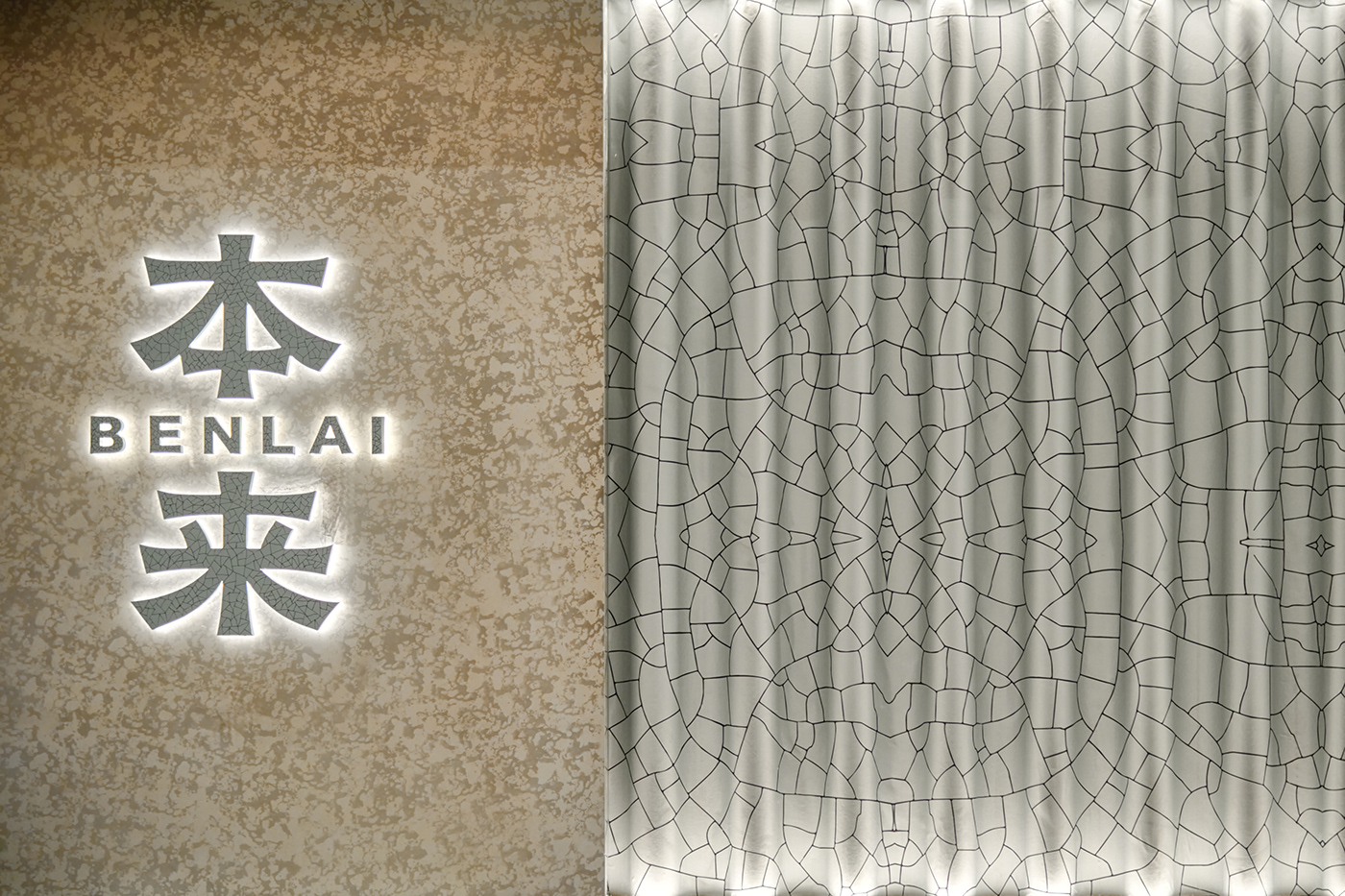 STILL YOUNG · 中国江苏丨原文作者-1