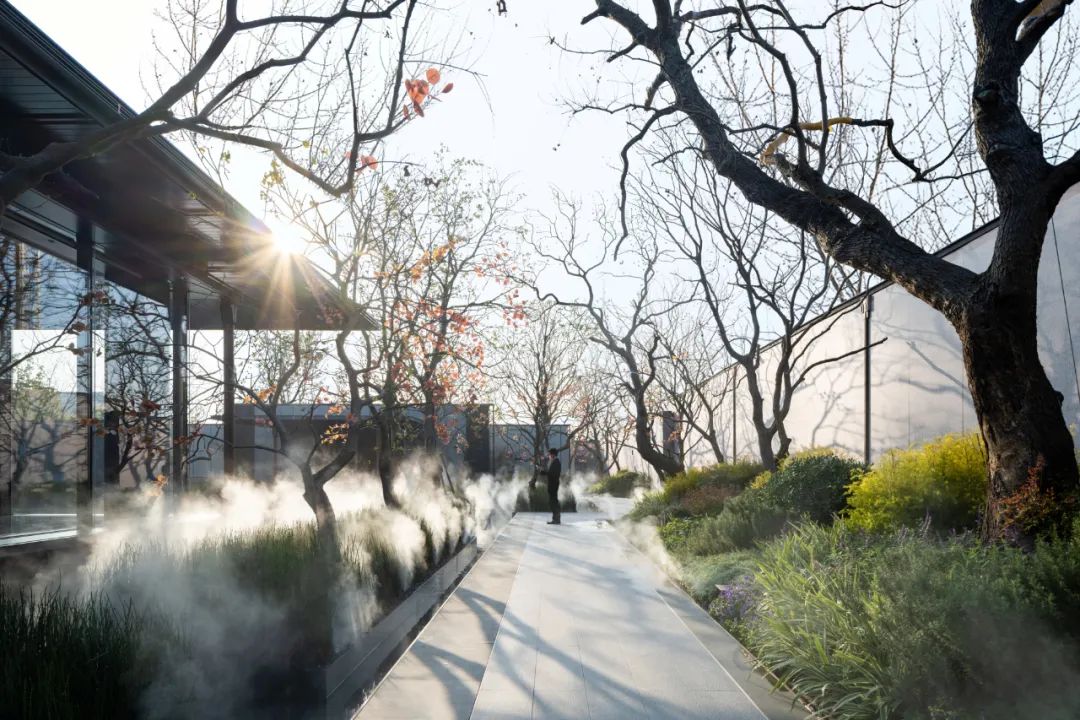 上海华发建发·缦云(示范区)丨中国上海丨深圳市派澜景观规划设计有限公司-64