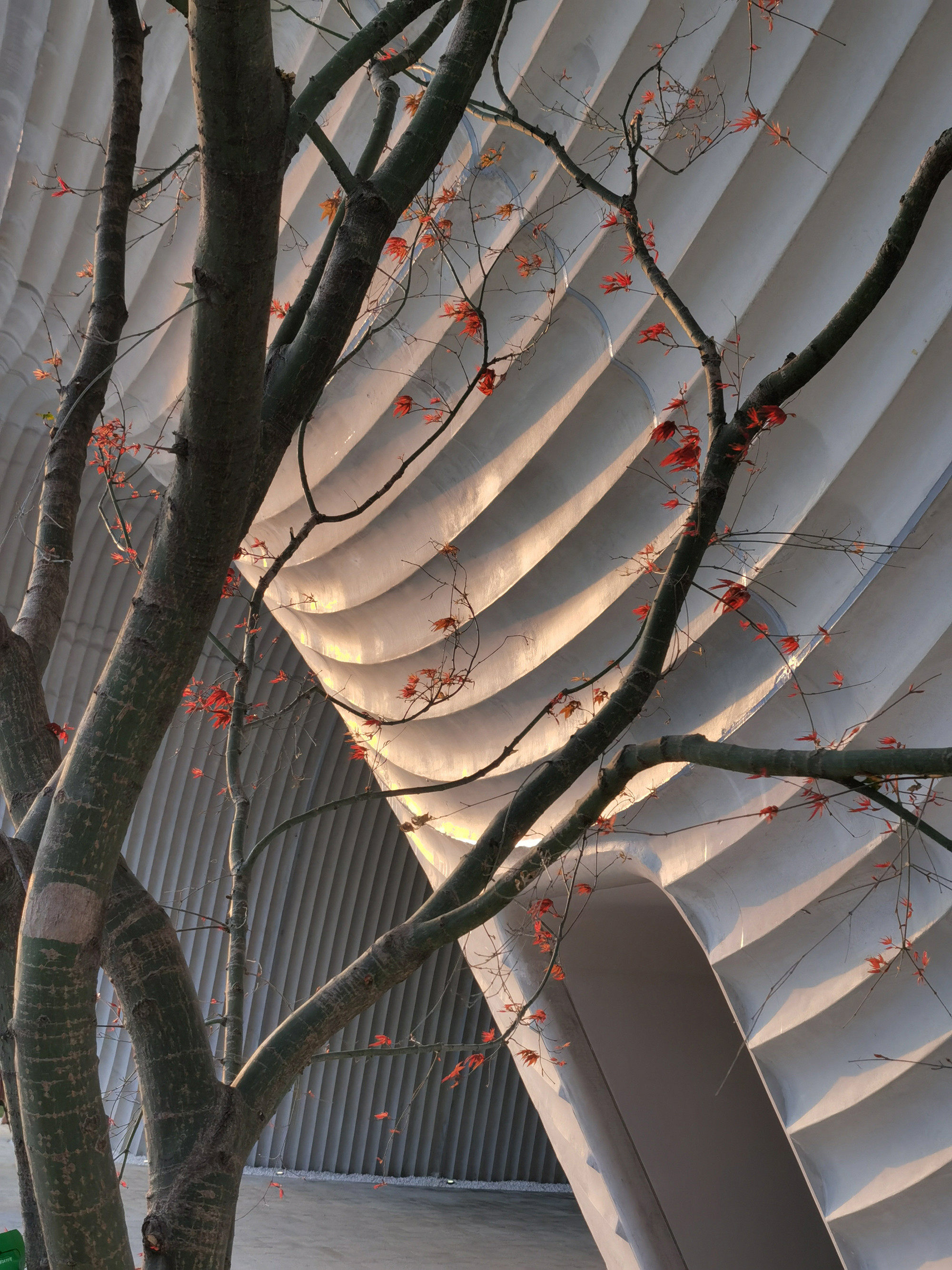 西安沣东新城莱安社区中心：漂浮之门 / EID Architecture -31