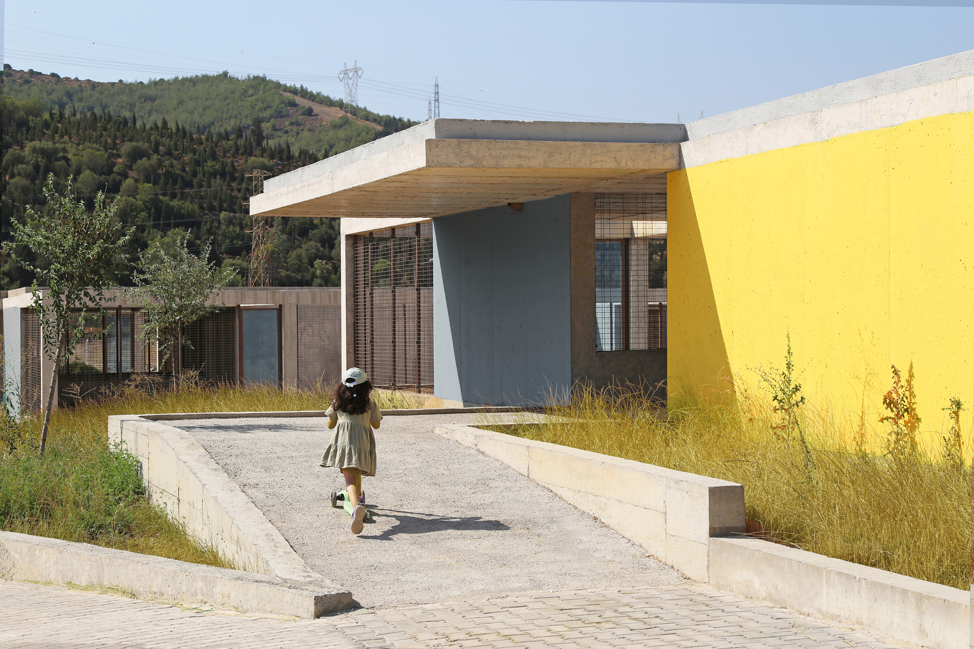 Pako Street Animal Social Life Campus / Mert Uslu Architecture-22
