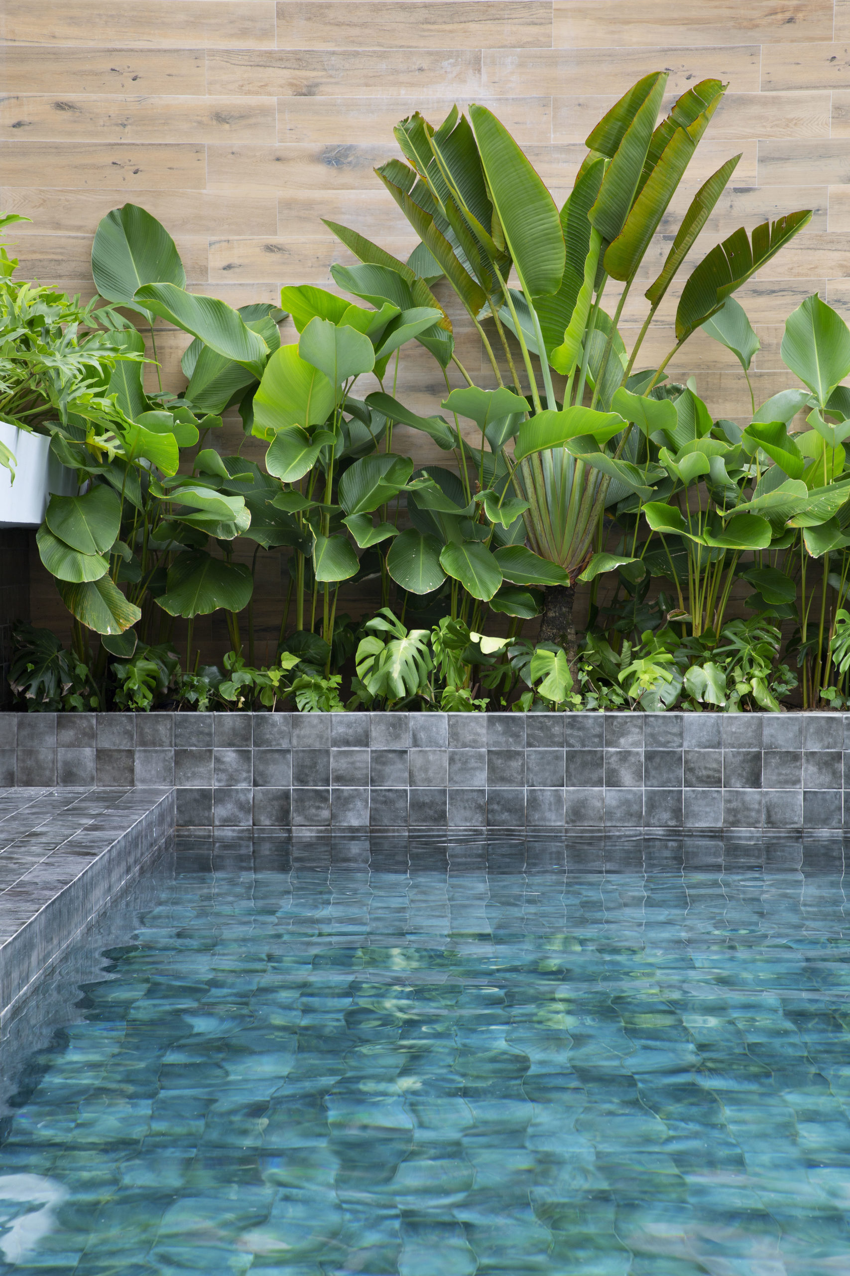 Paixão do morador por automobilismo - Conexão Decór-17