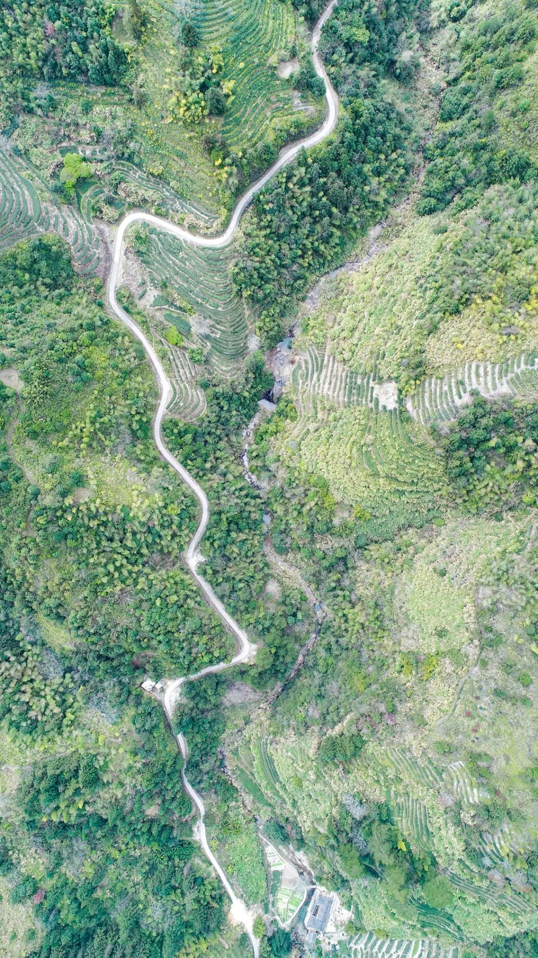 归隐深山，客家土楼变身为文化行馆-4