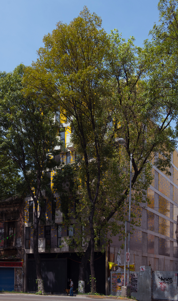 墨西哥城“GUERRERO 108”建筑丨墨西哥墨西哥城-37