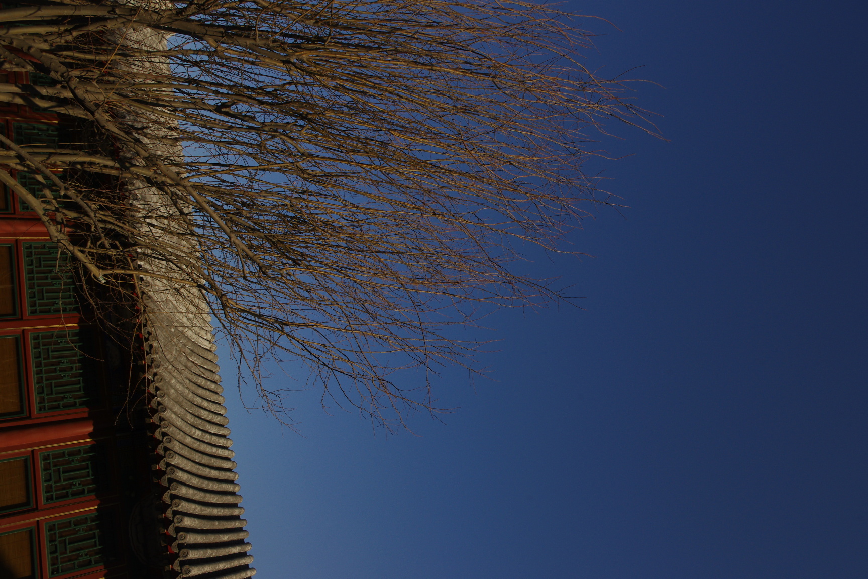 Jaya 北京安曼颐和酒店-6-11