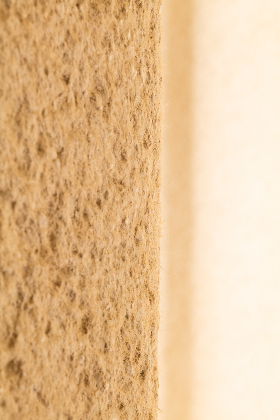 Boso别墅丨日本丨Kenichi Teramoto,office of Teramoto-84