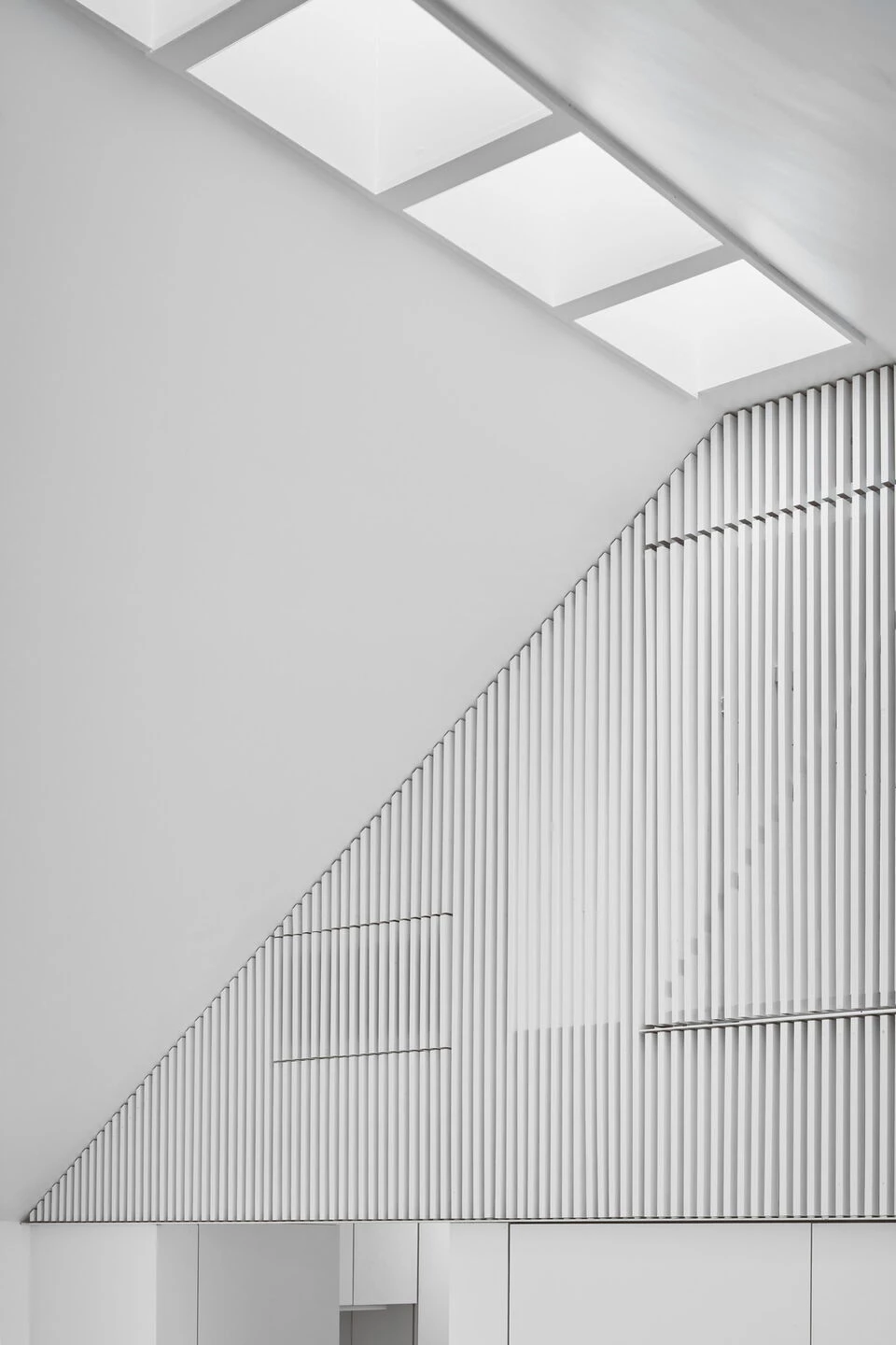 Little Tiger Chinese Immersion School-22