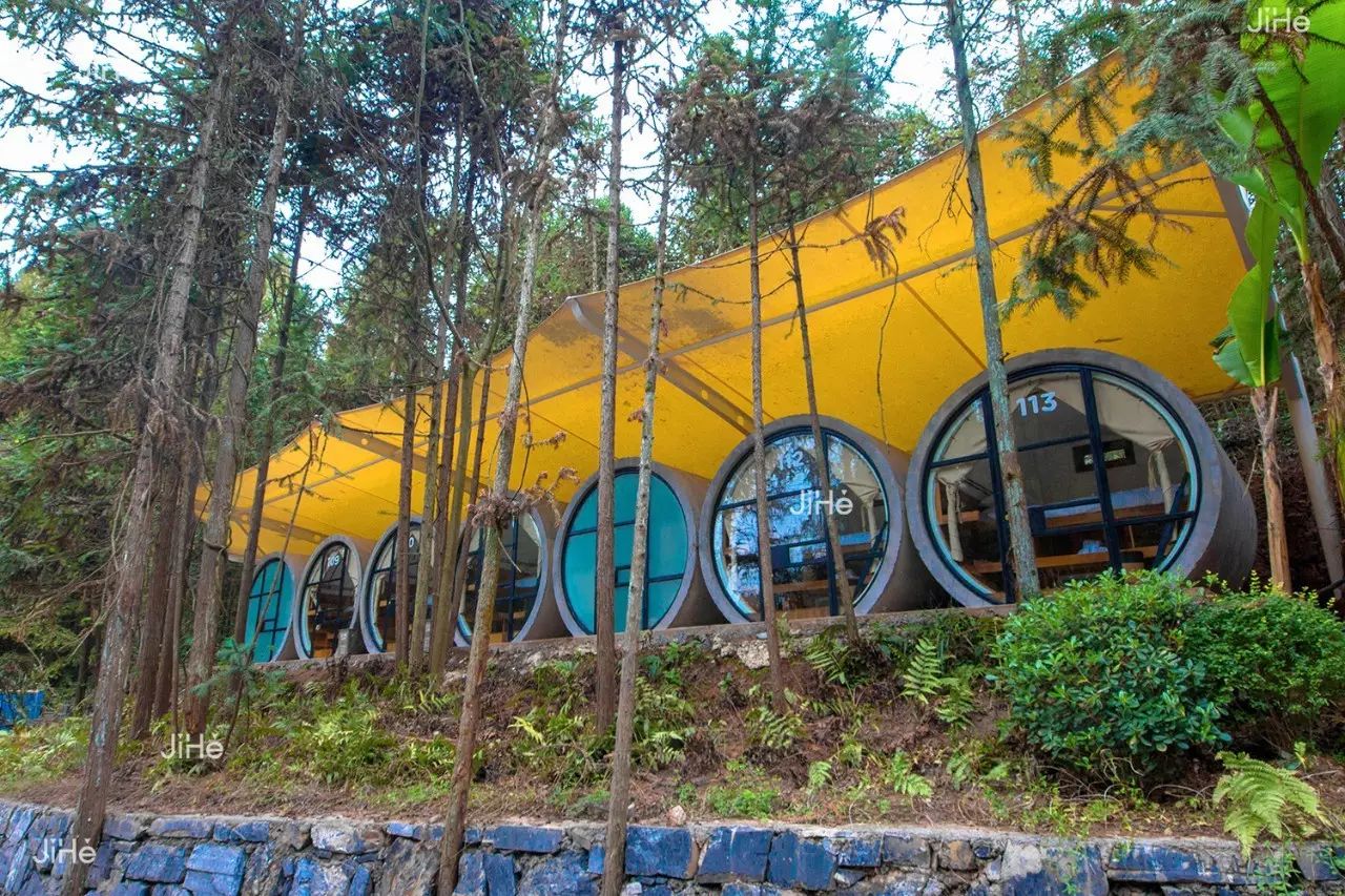 树屋，寻找童话中住在树上的精灵-43