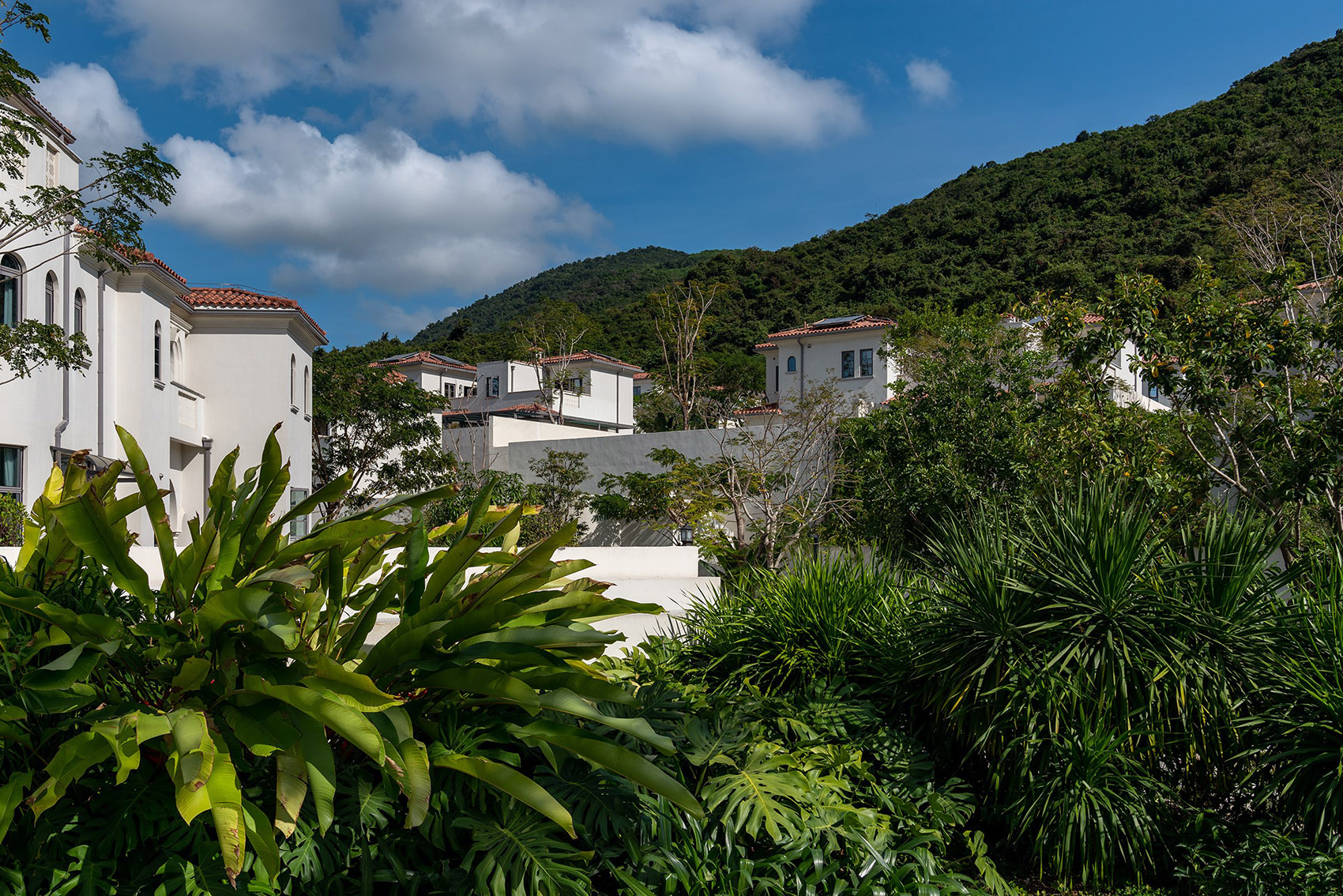 阿那亚三亚南花园丨中国三亚丨Z’scape致舍景观-216