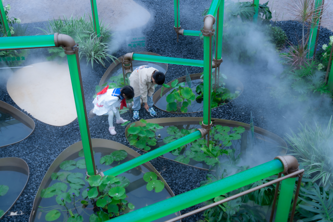 微藻实验花园：景观设计中的绿色新篇章-29