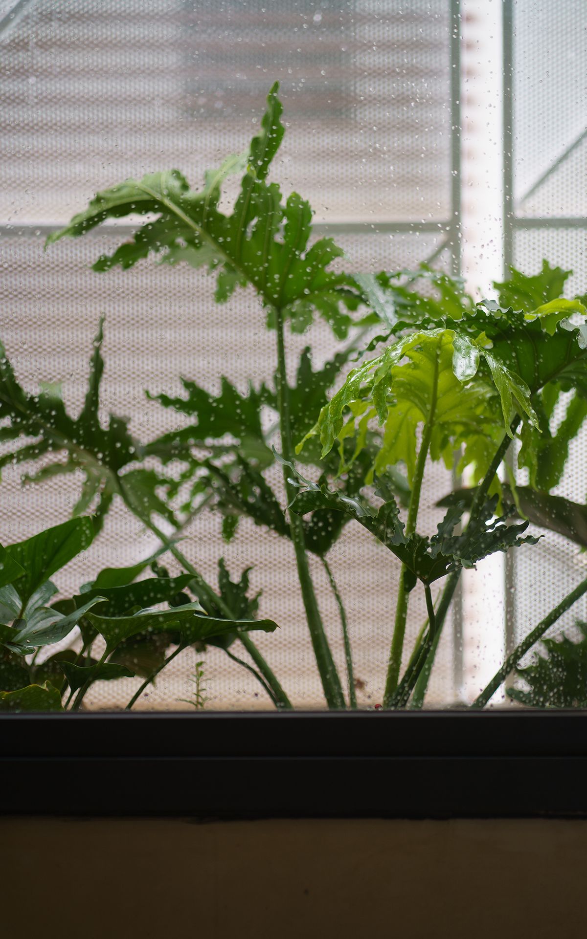 度假风 Soc's House 木质游艇住宅-54