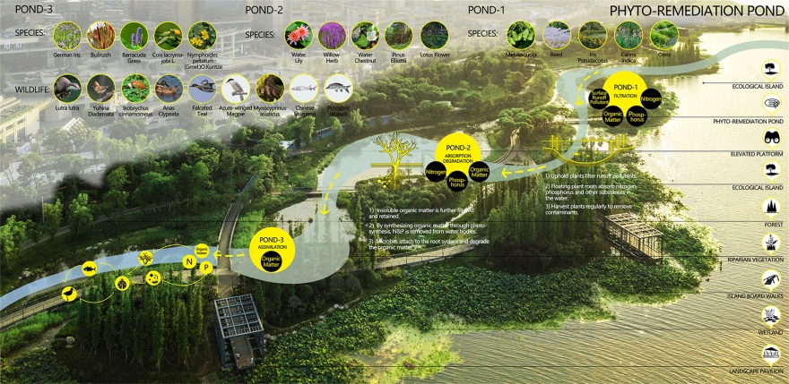 遂宁南滨江公园-37