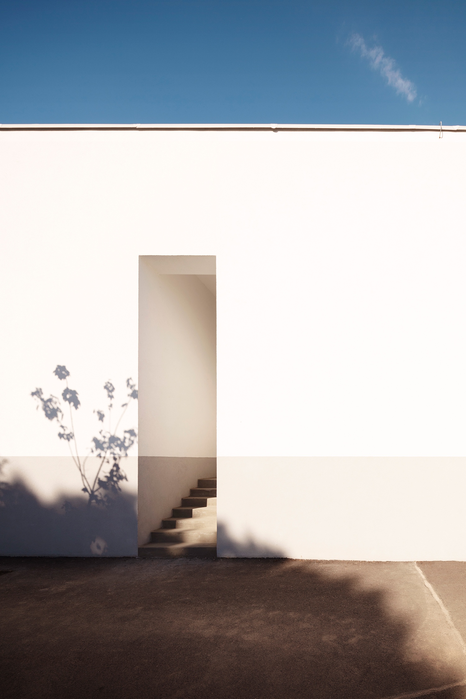 佩奇市场大厅改造项目丨匈牙利-18