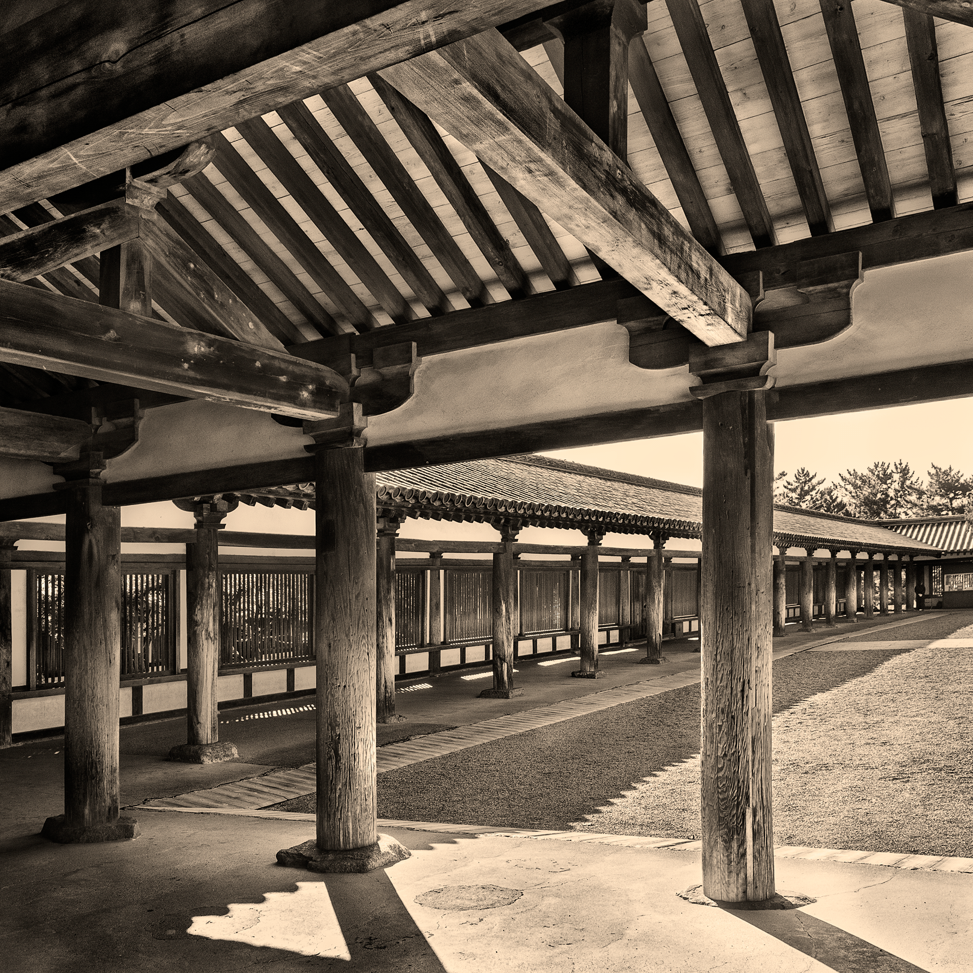 HORYUJI,最古老的木制建筑丨日本奈良丨HashiLaboratory-5