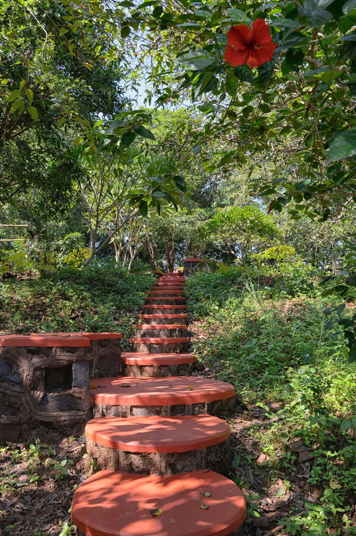 孟买郊外生态农舍丨印度丨The Vrindavan Project-18