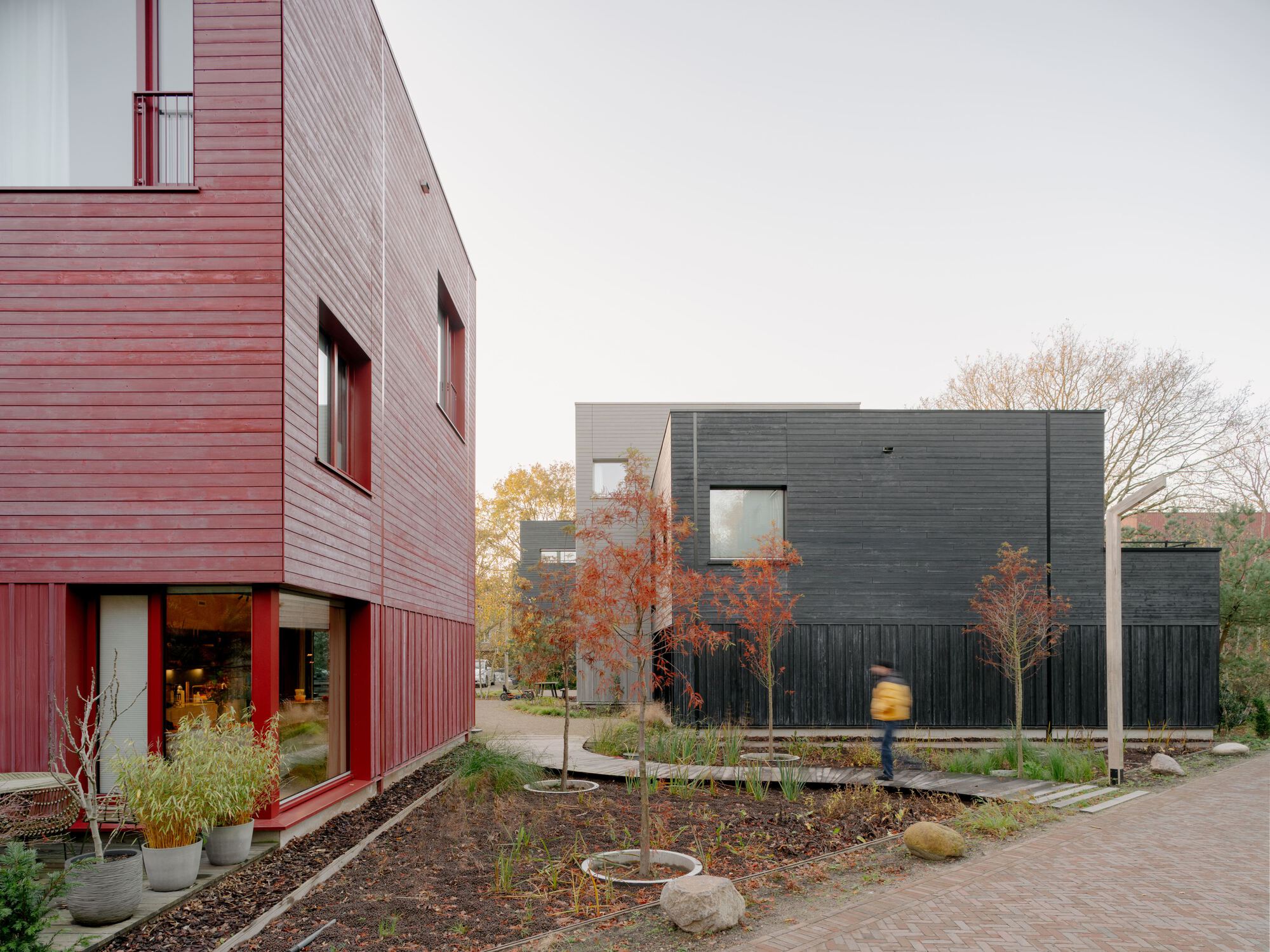 普通木材丨荷兰阿默斯福特丨Space&Matter-41