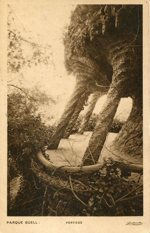 Park Güell(古埃尔公园)丨西班牙巴塞罗那丨Antoni Gaudí i Cornet等-102