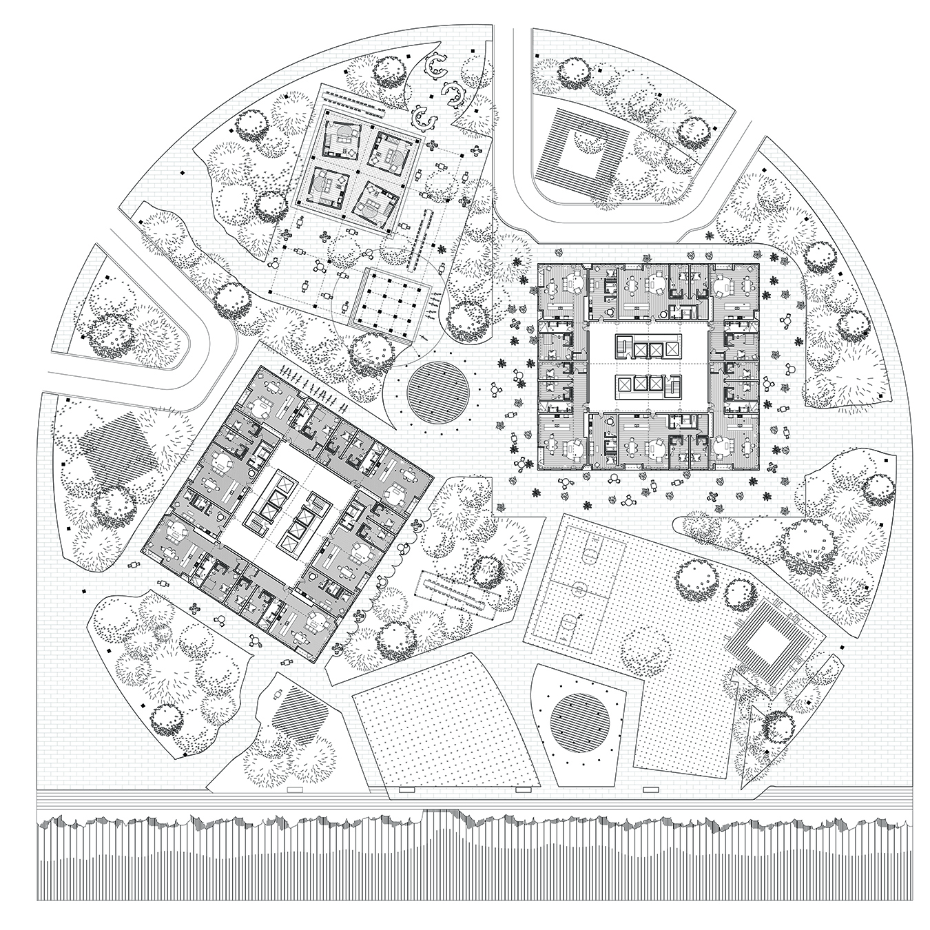 丨新西兰奥克兰-6