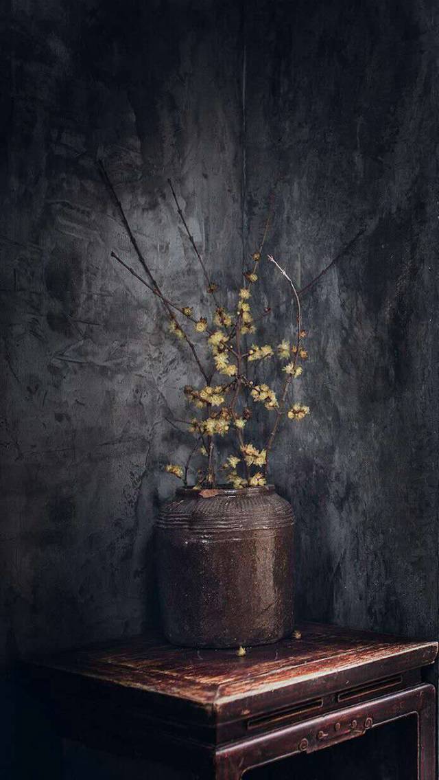 人到半山,止息而行,不问归期-28