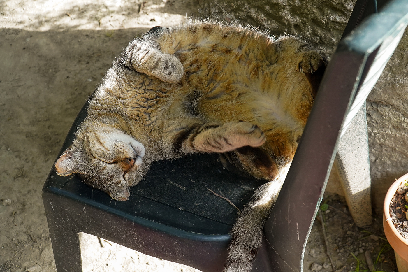 Anastasiya Gushchina丨乡村庭院丨La Encantada - 21丨西班牙-9