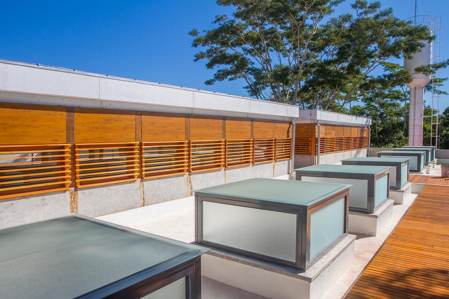 巴西帕乌洛弗雷伊罗图书馆 · 绿色可持续的教育文化空间-12