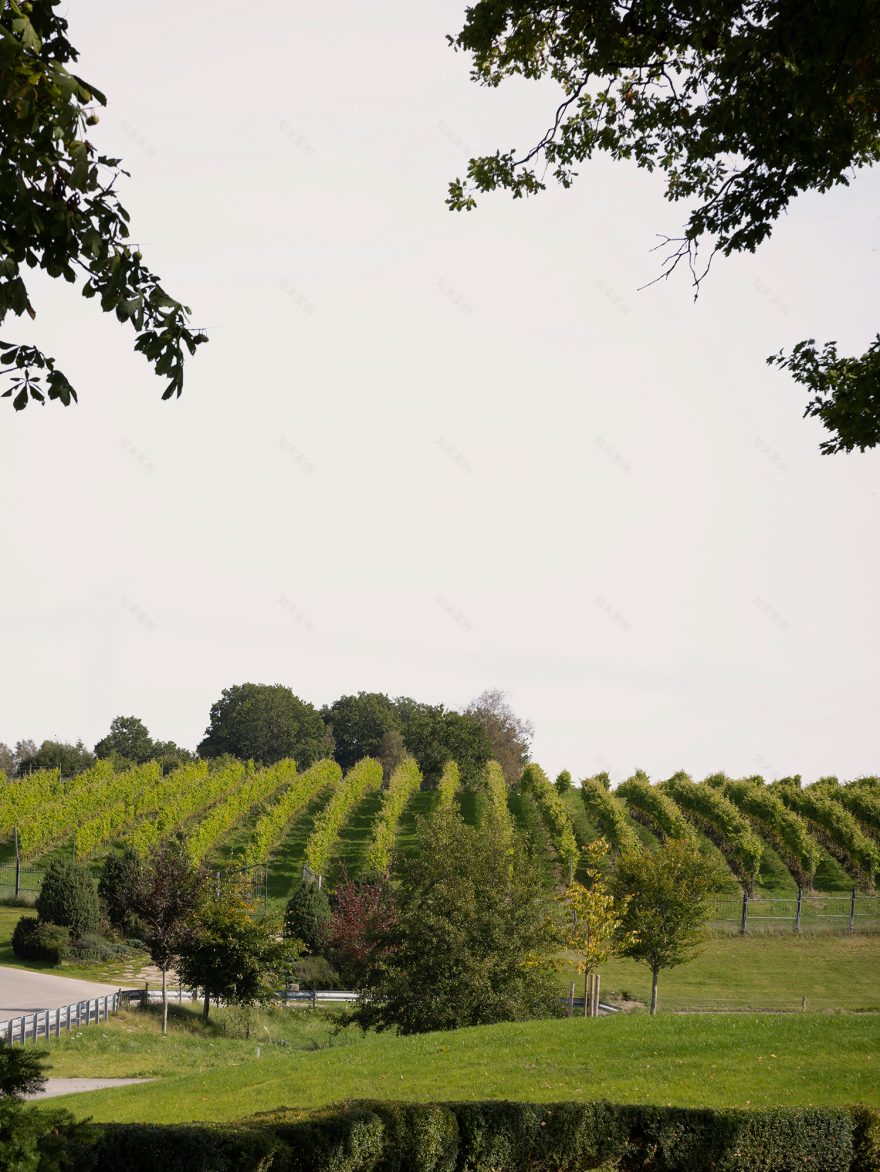 锡公园丨瑞典丨Norm Architects-16