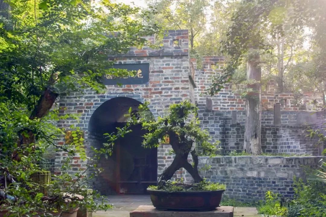 废弃庄园变鹭鸟天堂 | 400㎡中式宅院与 30 亩森林的共生设计-108