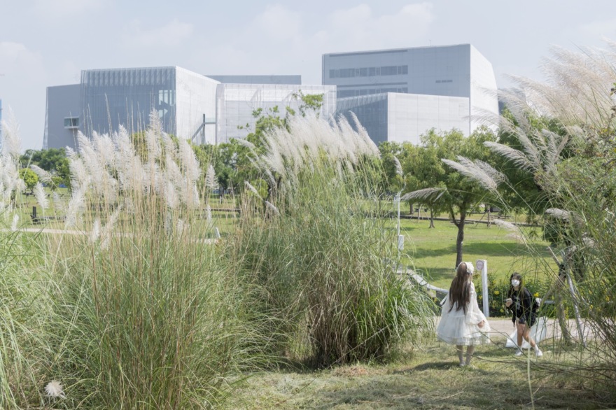 台中市立美术馆(台中绿美图)丨中国台中丨SANAA,刘培森建筑师事务所-7