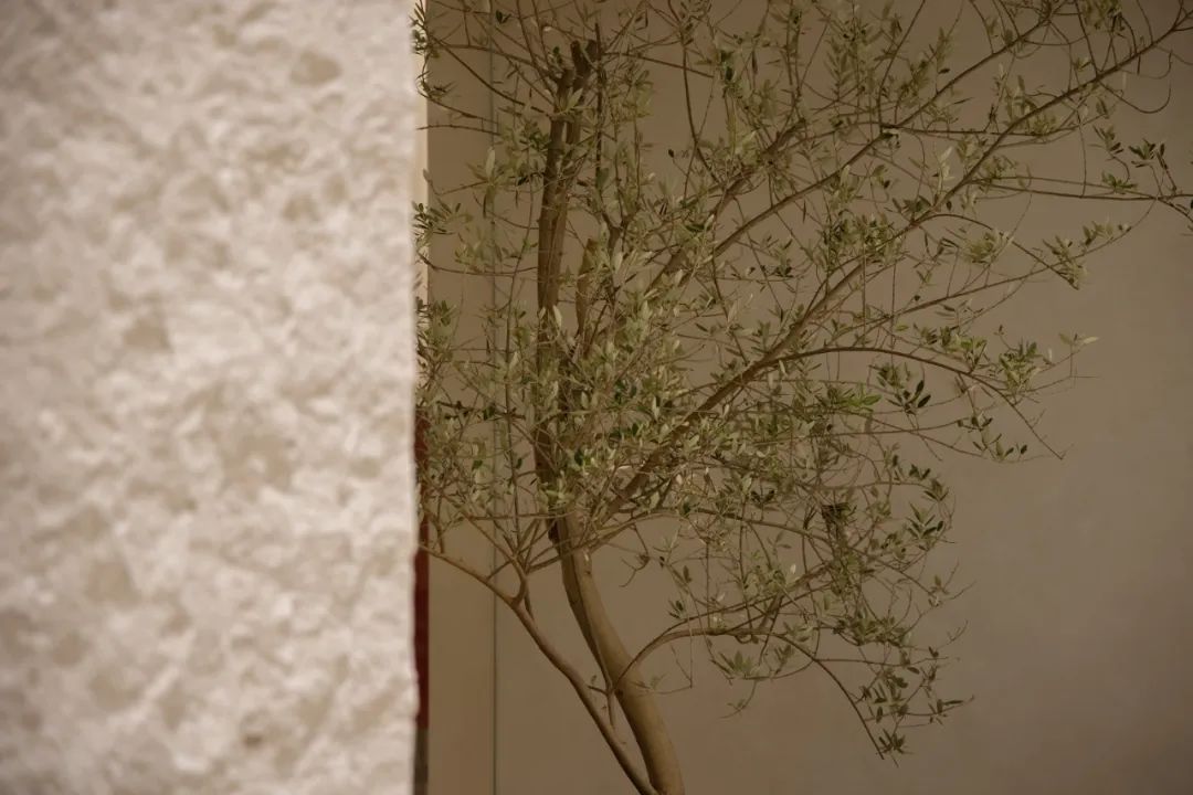 素庭旗舰店丨深圳市绽放品牌设计顾问有限公司-17