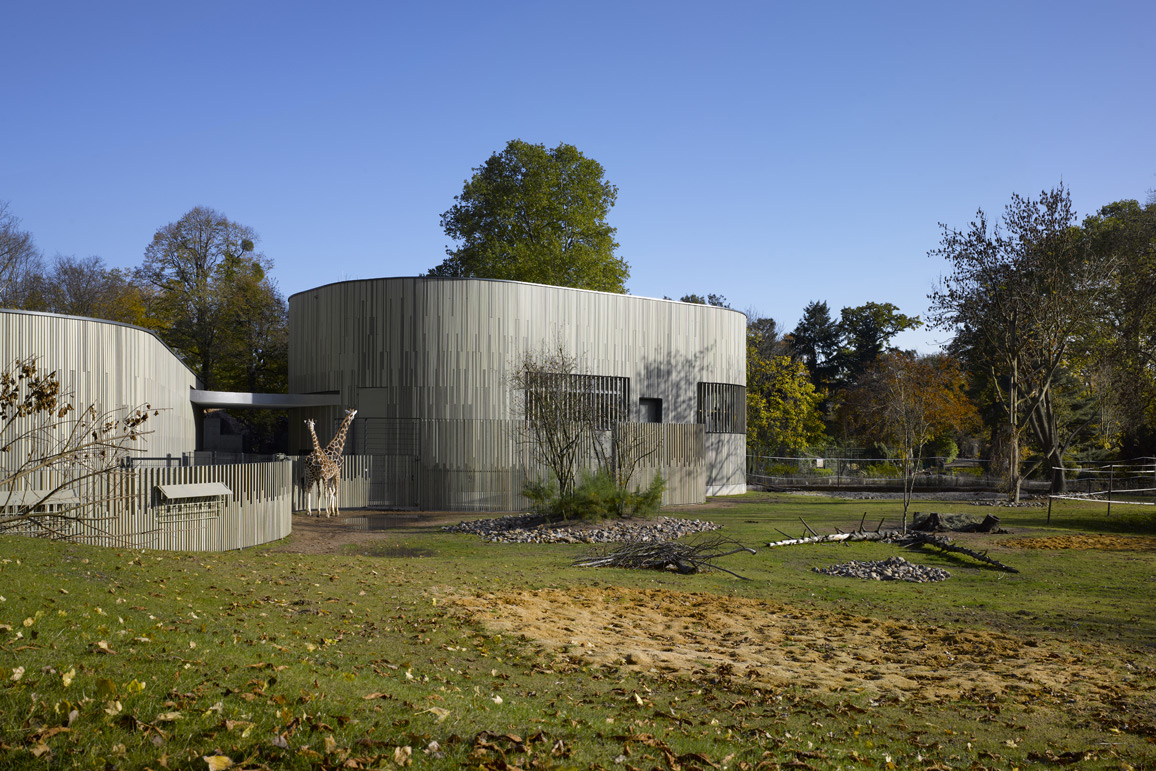 Zoologischer Garten Dresden, Giraffen- und Zebraanlage - hw-5